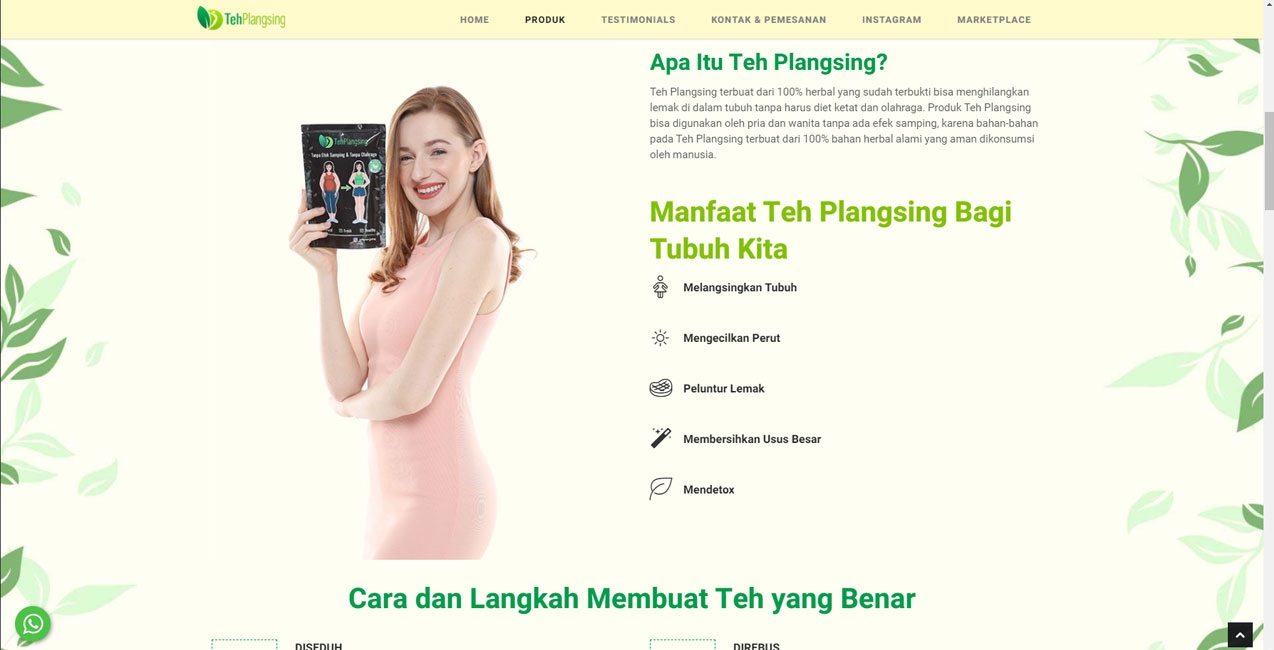 tehplangsing-website-about